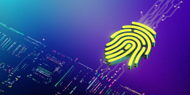 Biometric Authentication: Balancing Convenience and Security in Identity Verification