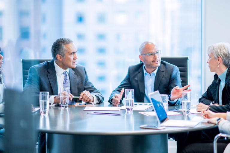 Why Public Sector IT Projects Often Stall or Fail